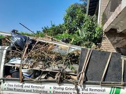 Best Attic Cleanout  in Cicero, IL